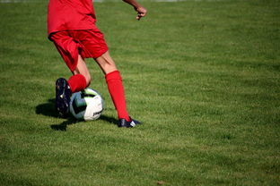 安博体育官网-体育新闻中心构建体育赛事全媒体传播体系，体育赛事的媒体宣传需要向媒体经营单位直接支付费用  第3张